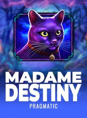 Slot game Madame Destiny with purple cat and magic theme